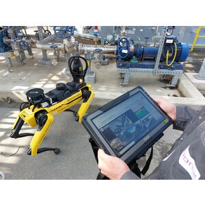 Getac F110-Ex Rugged Tablet - 29.5 cm (11.6") Full HD - 8 GB - 256 GB SSD - Windows 11 Pro - 4G - 11th Gen Quad-core (4 Co