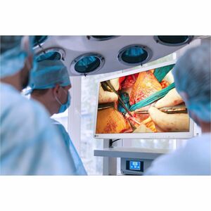EIZO CuratOR EX3242 32" Class 4K UHD LED Monitor - 16:9 - White - 32" Viewable - In-plane Switching (IPS) Technology - LED