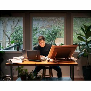 Mobile Pixels Duex Max DS 14" Class LCD Monitor - Black - 14.1" Viewable - In-plane Switching (IPS) Technology - HDMI