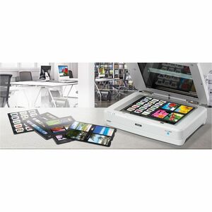 Epson Expression 13000XL Large Format Flatbed/Film Scanner - 2400 dpi Optical - 48-bit Color - 16-bit Grayscale - Color, M