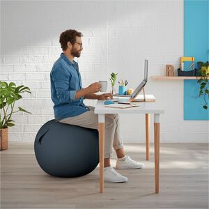 Leitz Exercise Ball - Velvet Gray - Fabric