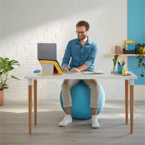 Leitz Exercise Ball - Calm Blue - Fabric