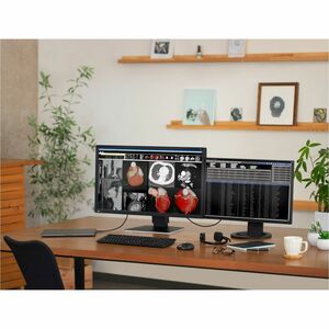 EIZO RadiForce MX317W-BK 31" Class 4K LED Monitor - 17:9 - Black - 30.5" Viewable - In-plane Switching (IPS) Technology - 