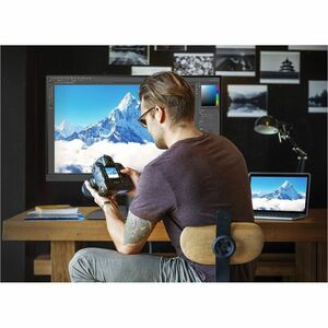 BenQ Photographer SW242Q 24" Class WQXGA LED Monitor - 16:10 - 24.1" Viewable - In-plane Switching (IPS) Technology - LED 