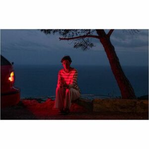 Apple iPhone 16 256 GB Smartphone - 6.1" OLED 2556 x 1179 - A18Hexa-core (6 Core) - 8 GB RAM - iOS 18 - 5G - Pink - Bar - 