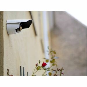AXIS M3125-LVE 2 Megapixel Innen/Außen Full HD Netzwerkkamera - Farbe - Kuppel - Weiß - TAA-konform - 20 m Infrarot Nachts