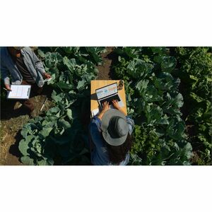 Apple MacBook Pro MX2V3LL/A 16.2" Notebook - 120 Hz - Apple M4 Max - 36 GB - 1 TB SSD - English (US) Keyboard - Silver - A