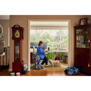 HP Elite t655 Thin Client Ryzen Embedded R2314 Quad-core (4 Core) 2.10 GHz  - AMD Chip - 8 GB RAM DDR4 SDRAM - 256 GB SSD 