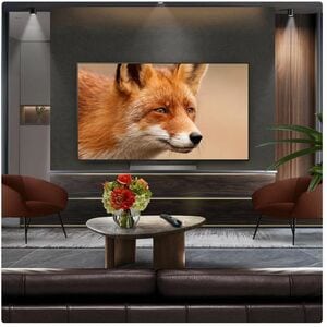 LG evo C5 OLED55C56LB 139.7 cm Smart OLED TV - 4K UHDTV - Apple HomeKit Supported - webOS 25 - Dolby Digital, AI Sound, Do