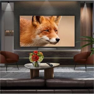 LG evo C5 OLED65C56LB 165.1 cm Smart OLED TV - 4K UHDTV - Apple HomeKit Supported - webOS 25 - Dolby Digital, AI Sound, Do