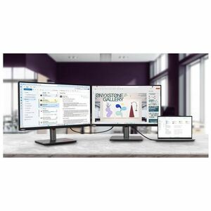Lenovo ThinkVision P25i-30 25" Class Full HD LED Monitor - 16:9 - Raven Black - 62.2 cm (24.5") Viewable - In-plane Switch