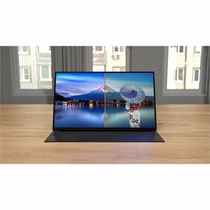 iiyama ProLite 15.6″ (39.5 cm) Full-HD-IPS-Monitor mit USB-C-Dock, integrierten Lautsprechern & Lederhülle:Jedes von mehre