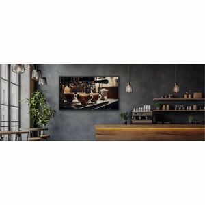 AG Neovo QM5503 1386,84 mm LCD Digital-Signage-Display - 24 Stunden/7 Tage Betrieb - Vertical-Alignment-Technologie (VA) -