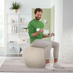 ACCO Ergo Active Exercise Ball Chair - Grey