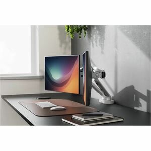 Digitus Desk Mount for Monitor, Flat Panel Display, Curved Screen Display - White - Height Adjustable - 2 Display(s) Suppo