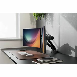 Digitus Desk Mount for Monitor, Flat Panel Display, Curved Screen Display - Black - Height Adjustable - 2 Display(s) Suppo