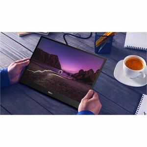 Lenovo ThinkVision M16 16" Class WUXGA LED Monitor - 16:10 - Eclipse Black - 16" Viewable - In-plane Switching (IPS) Techn