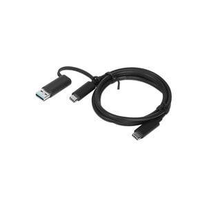 LENOVO HYBRID USB-C CABLE WITH USB-A (1M)