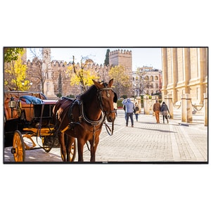 Vestel Value VB55B-2 1397 mm LCD Digital Signage Display - High Dynamic Range (HDR) - 3840 x 2160 - Edge LED - 350 cd/m² -