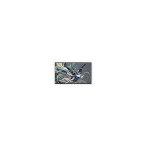 Philips Q-Line 75BDL3511Q 1892.30 mm LCD Digital Signage Display - 3840 x 2160 - Direct LED - 400 cd/m² - 2160p - USB - HD