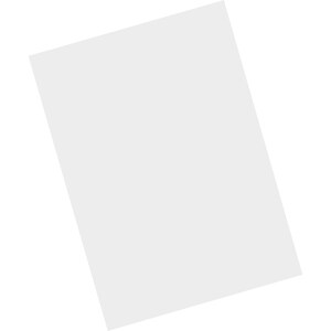 Zebra Tempered Glass Screen Protector - For LCD Handheld Terminal