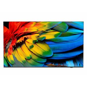 Philips Professional 43HFL6214U 109,2 cm Smart LED-LCD TV - 4K UHDTV - Anthrazit, Schwarz - 1092,20 mm Klasse - LED Hinter