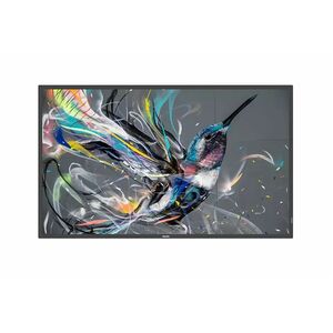 Philips Q-Line 98BDL3650Q 2476.50 mm LCD Digital Signage Display - 18 Hours/7 Days Operation - In-plane Switching (IPS) Te