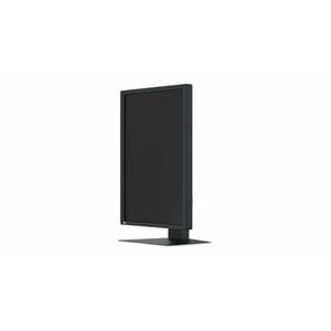 EIZO RadiForce MX217-SB 21" Class UXGA LED Monitor - 3:4 - Black - 53.3 cm (21") Viewable - In-plane Switching (IPS) Techn