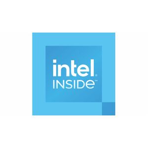 Intel 300 Dual-core (2 Core) 3.90 GHz Processor Upgrade - 6 MB L3 Cache - 2.50 MB L2 Cache - 64-bit Processing - Socket LG