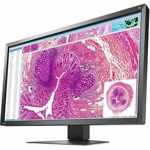 EIZO RadiForce MX317W 31" Class 4K LED Monitor - 17:9 - 77.5 cm (30.5") Viewable - In-plane Switching (IPS) Technology - L