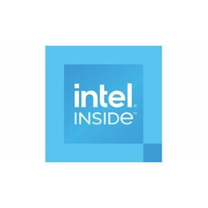 Intel 300 Dual-core (2 Core) 3.90 GHz Processor Upgrade - 6 MB L3 Cache - 2.50 MB L2 Cache - 64-bit Processing - Socket LG