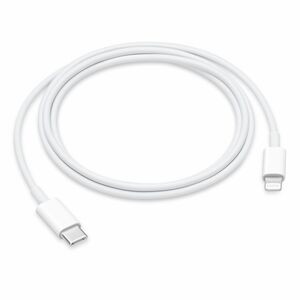 Apple 1 m Lightning/USB-C Data Transfer Cable - Cable for iPhone, iPad Pro, iPad Air, iPad mini, MacBook Pro - First End: 