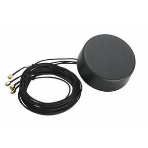 Zebra Antenne für RFID, GPS - Schwarz - SMA Anschluss