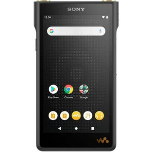 Sony Walkman WM1AM2 128 GB Touchscreen Flash MP3 Player - 12.7 cm (5") 900000 Pixel TFT - Bluetooth - Wireless LAN - micro