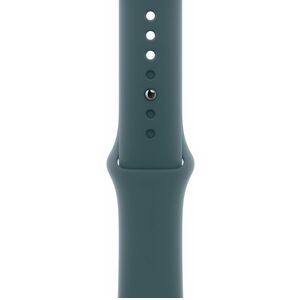 Apple Adjustable Smartwatch Band - 1 - Small (S)/Medium (M) - Pin-and-tuck Attachment - Lake Green - Fluoroelastomer