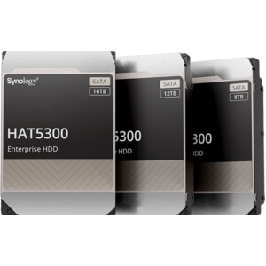 Synology HAT5300-12T 12 TB 硬盘 - 3.5" 内置 - SATA (SATA/600) - 服务器, 存储系统 设备支持 - 7200rpm - 550 TB 热电平衡写入（TBW） - 512e Format
