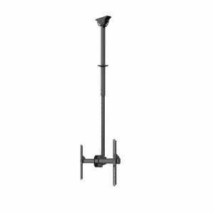 Neomounts Ceiling Mount for TV - Black - Height Adjustable - 1 Display(s) Supported - 94 cm to 177.8 cm (70") Screen Suppo