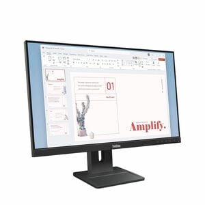 Lenovo ThinkVision E24-40 24" Class Full HD LED Monitor - 16:9 - Raven Black - 60.5 cm (23.8") Viewable - In-plane Switchi