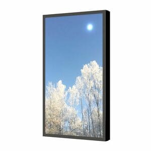 Wall Casing 55", Portrait, Polycarbonate protection - Black