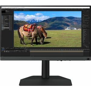 BenQ Photographer SW242Q 24" Class WQXGA LED Monitor - 16:10 - 24.1" Viewable - In-plane Switching (IPS) Technology - LED 