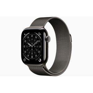 Watch Series 11 GPS + Cellular 42mm Slate Titanium Case with Slate Milanese Loop