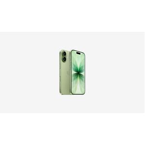 Apple iPhone 17 256 GB 智能电话 - 16 cm (6.3") HDR10+ 2622 x 1206 - 六核 (双核（2 个核心） 4.26 GHz 四核（4 个核心） - 8 GB RAM - 5G - 绿色 - 条 