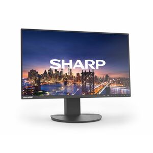 Sharp NEC Display MultiSync EA241F 24 Zoll Klasse Full HD LED-Monitor - 16:9 Format - Schwarz - 60,5 cm (23,8 Zoll) Viewab