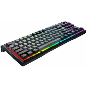 CHERRY XTRFY G80-3883 Gaming Keyboard - Tenkeyless - Wired/Wireless Connectivity - USB Type A Interface - RGB LED - French
