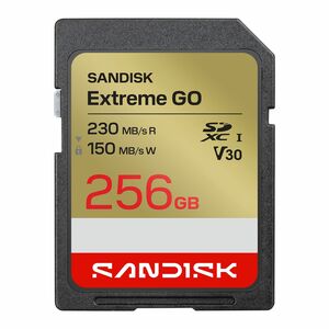 SanDisk 256 GB Class 10/UHS-I (U3) V30 SDXC - 1 - 230 MB/s Read