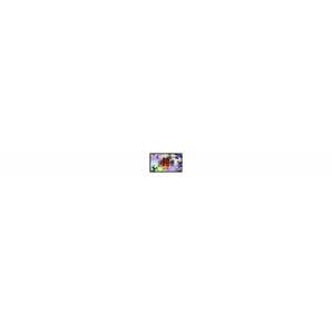Apple Studio Display XDR 27" Class Webcam 5K LED Monitor - 68.6 cm (27") Viewable - Mini LED Backlight - 5120 x 2880 - 1 B