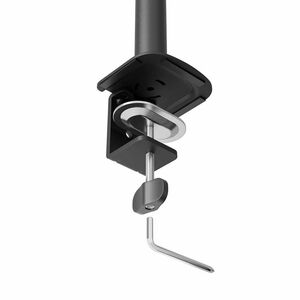 Neomounts DS60-600BL2V Mounting Arm - Black - Height Adjustable - 2 Display(s) Supported - 25.4 cm to 81.3 cm (32") Screen
