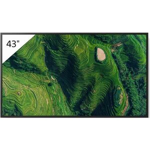 Sony Pro Bravia FW43BZ35PB 1092.20 mm LCD Digital Signage Display - 24 Hours/7 Days Operation - Energy Star - In-plane Swi