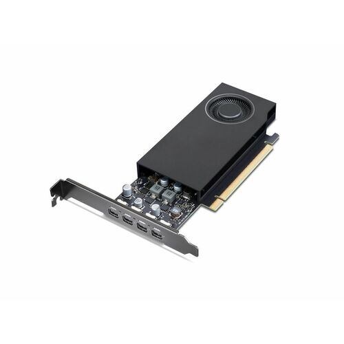 Lenovo NVIDIA RTX A1000 Graphic Card - 8 GB GDDR6 - 4 x Mini DisplayPort - Mini DisplayPort