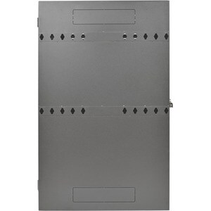 Tripp Lite by Eaton SmartRack 6U Low-Profile Vertical-Mount Server-Depth Wall-Mount Rack Enclosure Cabinet - 36" Deep Wall